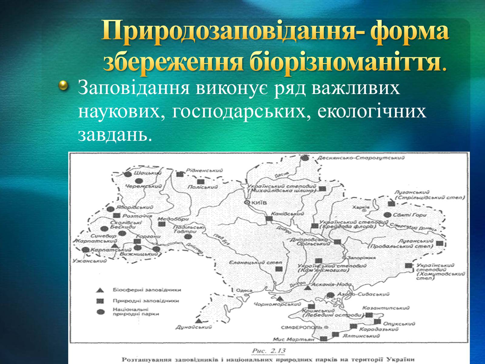 Презентація на тему «Біорізноманіття» (варіант 2) - Слайд #21