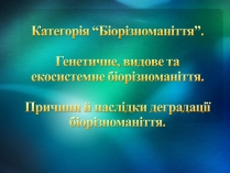 Презентація на тему «Біорізноманіття» (варіант 2)