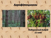 Презентація на тему «Агрофітоцинози»