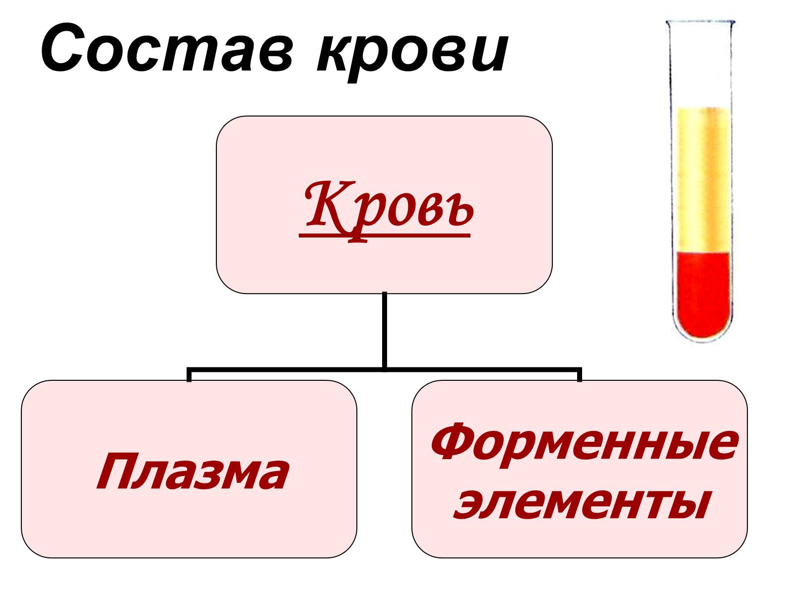 Презентація на тему «Внутренняя среда организма» (варіант 1) - Слайд #6