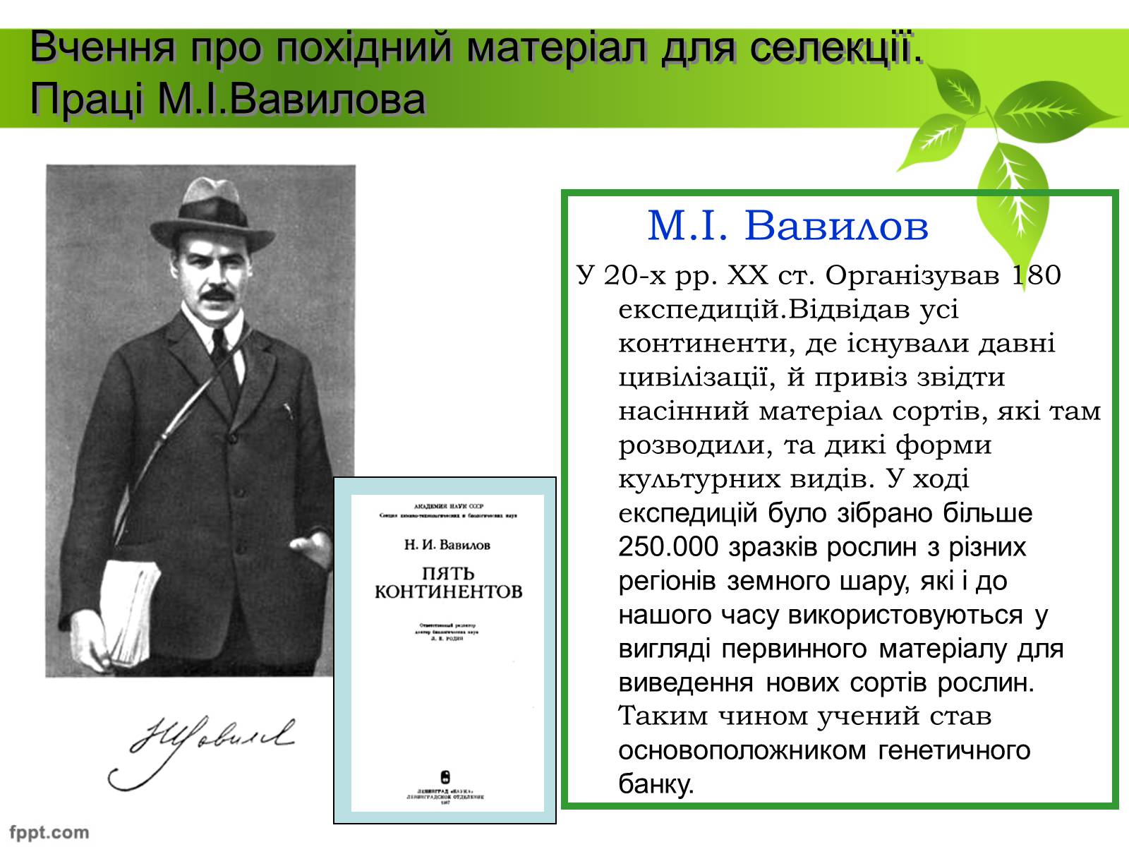 Презентація на тему «Генетичні основи селекції рослин» (варіант 2) - Слайд #7