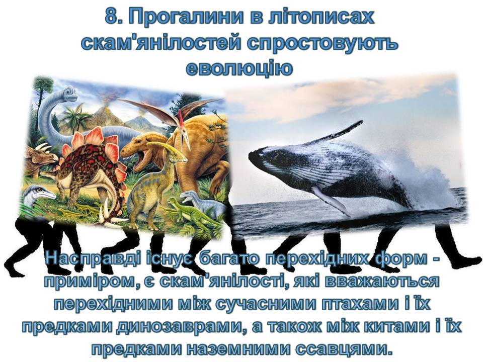 Презентація на тему «14 головних помилок про еволюцію» - Слайд #10