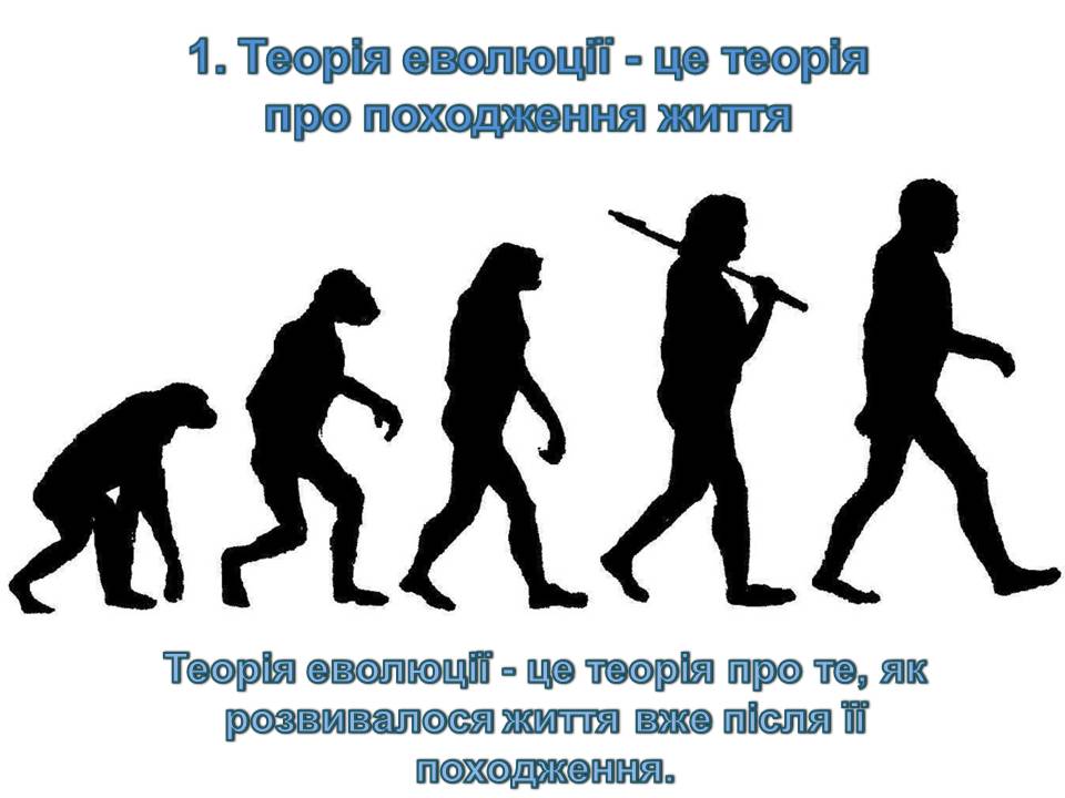 Презентація на тему «14 головних помилок про еволюцію» - Слайд #2