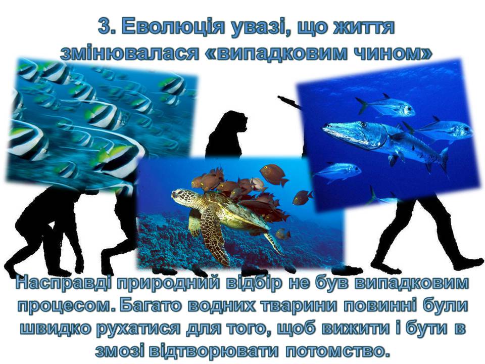 Презентація на тему «14 головних помилок про еволюцію» - Слайд #5