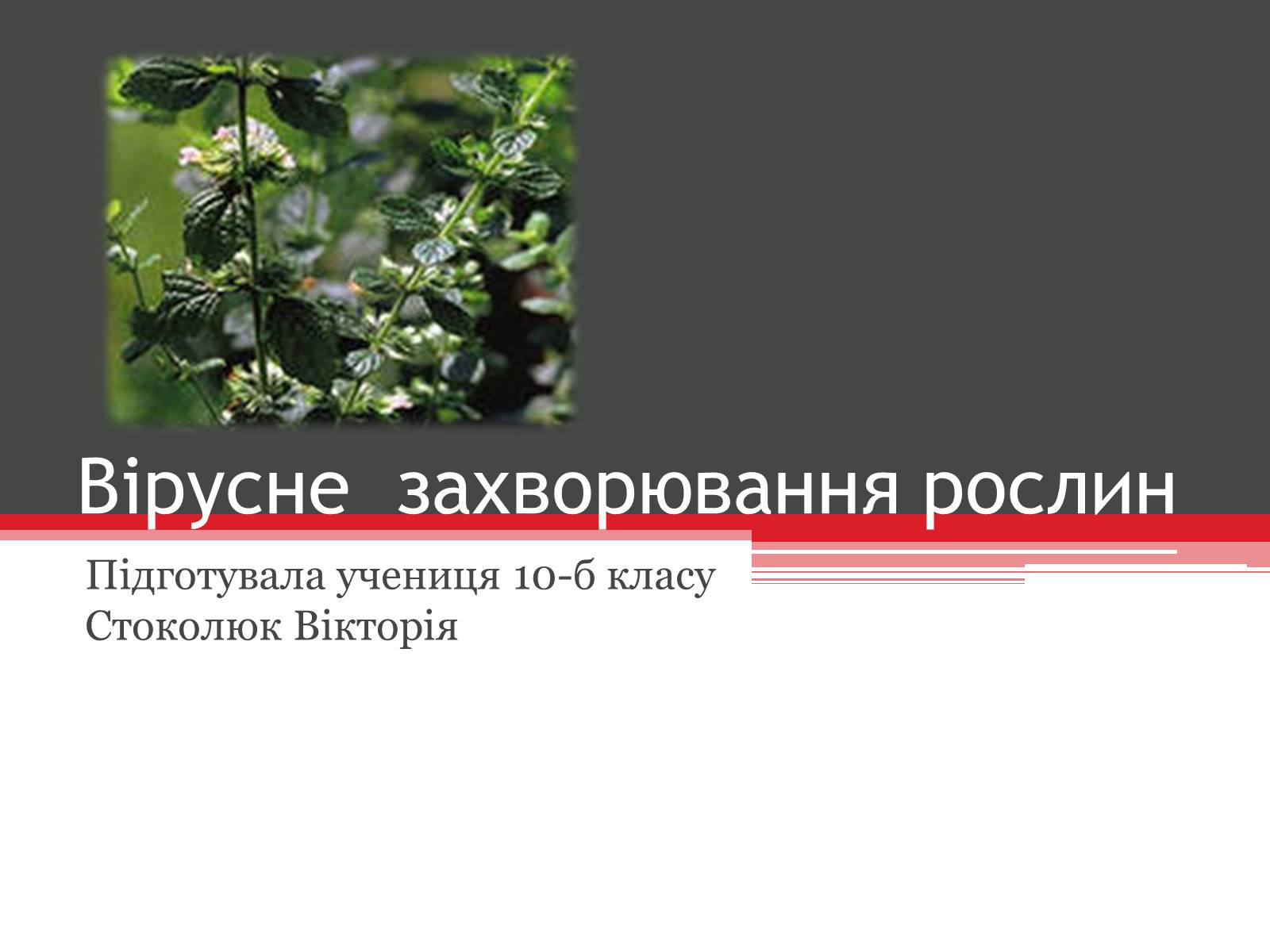 Презентація на тему «Вірусне захворювання рослин» - Слайд #1