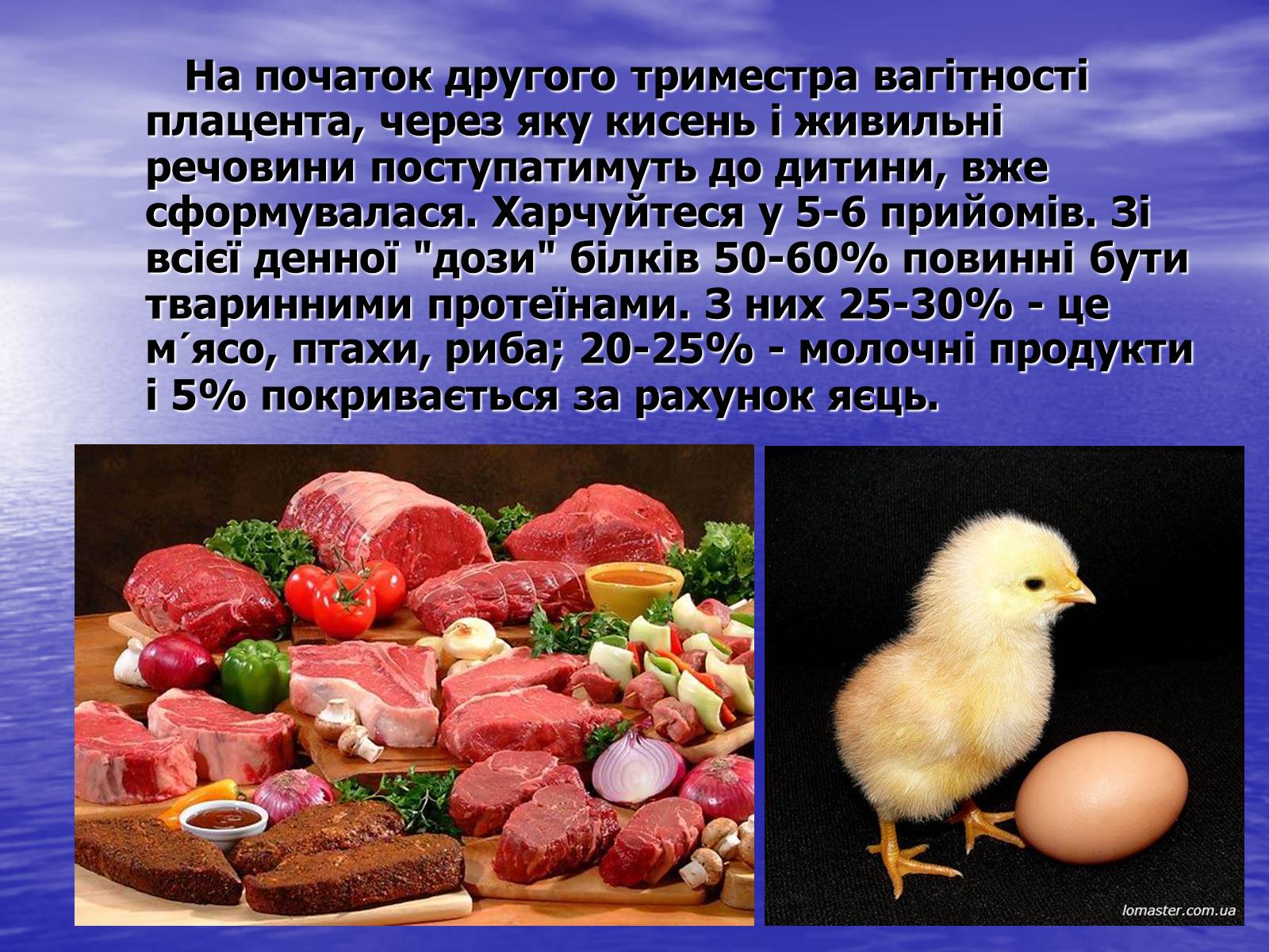 Презентація на тему «Харчування вагітної жінки» - Слайд #5