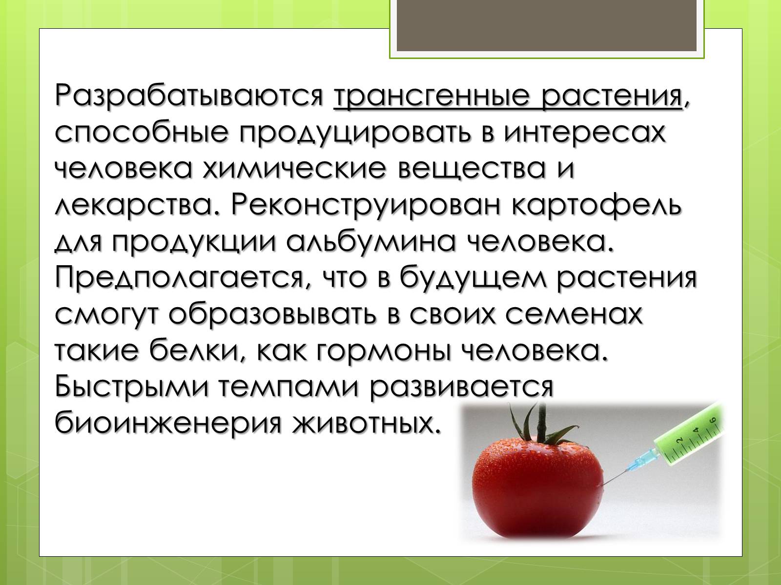 Презентація на тему «Трансгенный организм» - Слайд #7