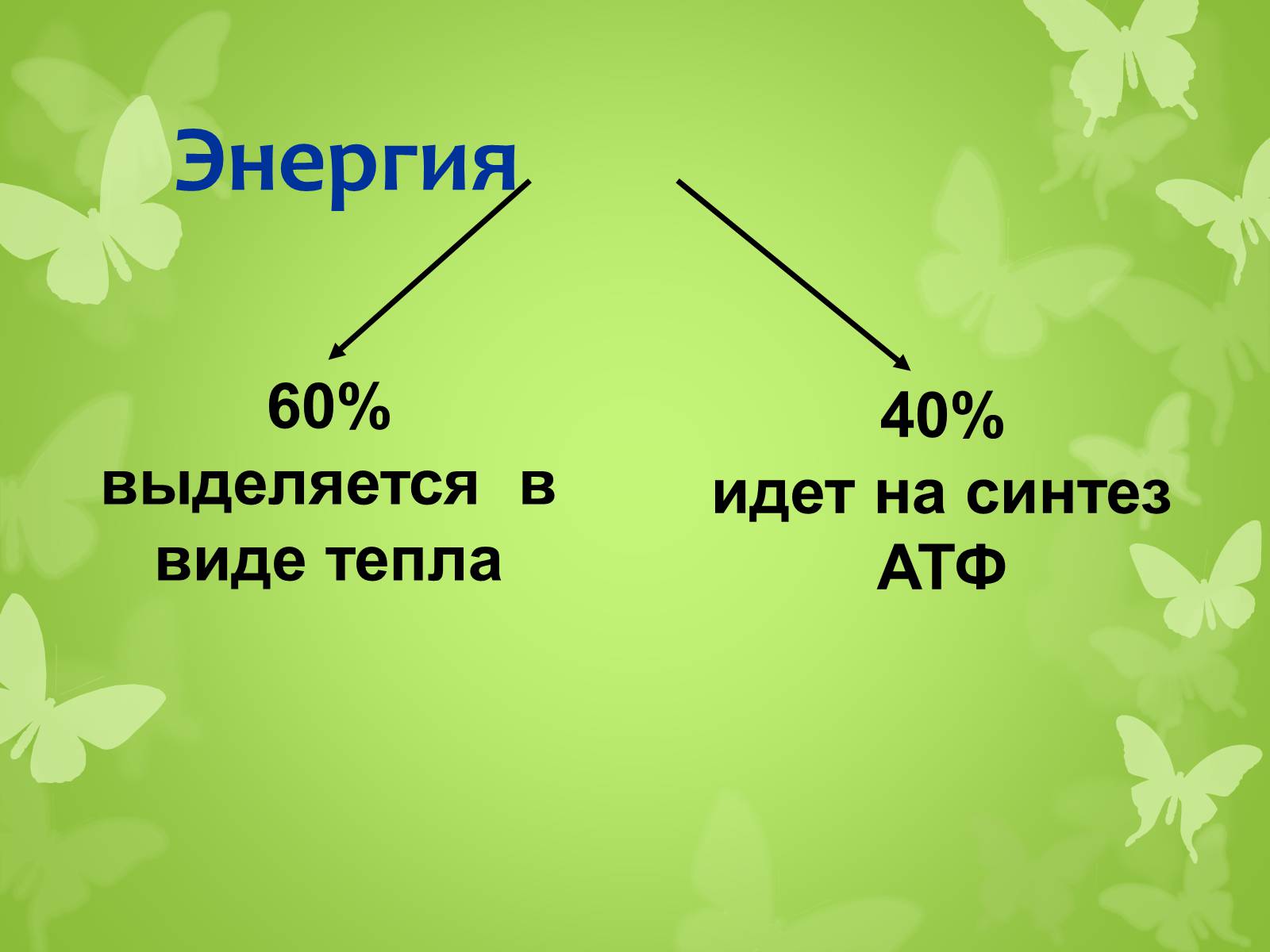 Презентація на тему «ЭНЕРГЕТИЧЕСКИЙ ОБМЕН» - Слайд #10