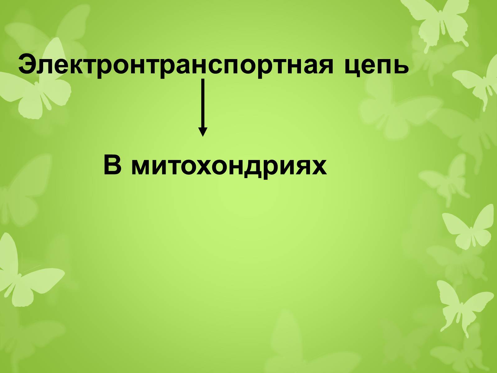 Презентація на тему «ЭНЕРГЕТИЧЕСКИЙ ОБМЕН» - Слайд #17