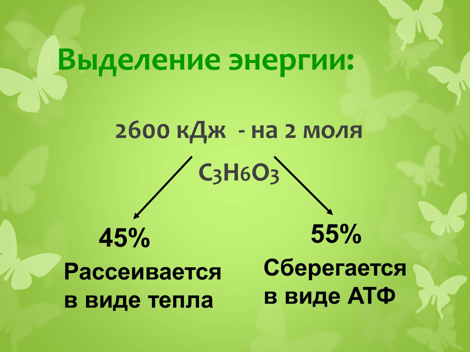 Презентація на тему «ЭНЕРГЕТИЧЕСКИЙ ОБМЕН» - Слайд #23