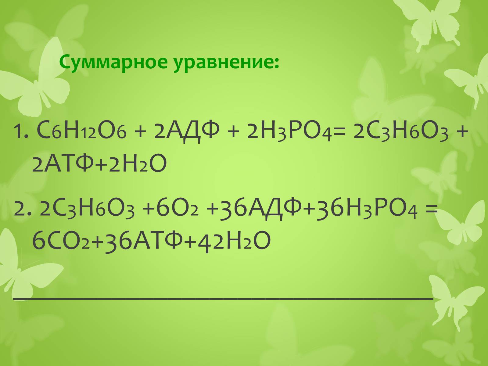 Презентація на тему «ЭНЕРГЕТИЧЕСКИЙ ОБМЕН» - Слайд #25