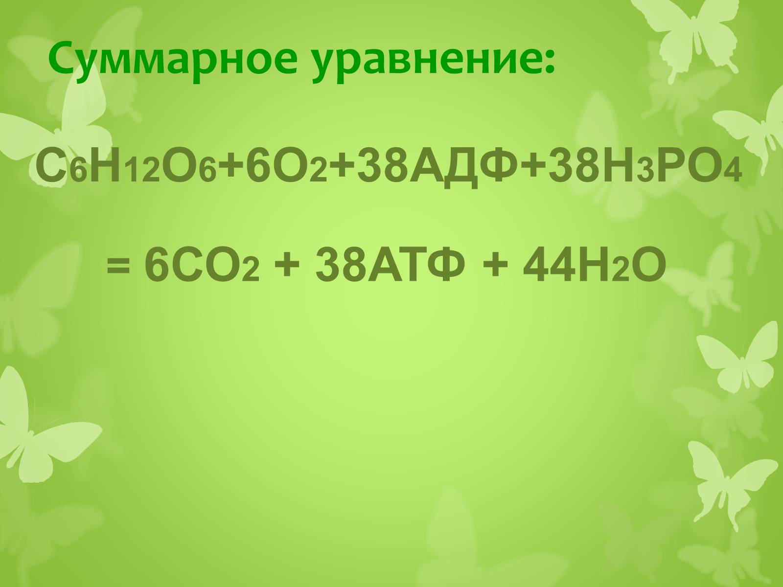 Презентація на тему «ЭНЕРГЕТИЧЕСКИЙ ОБМЕН» - Слайд #26