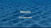 Презентація на тему «Міксини»