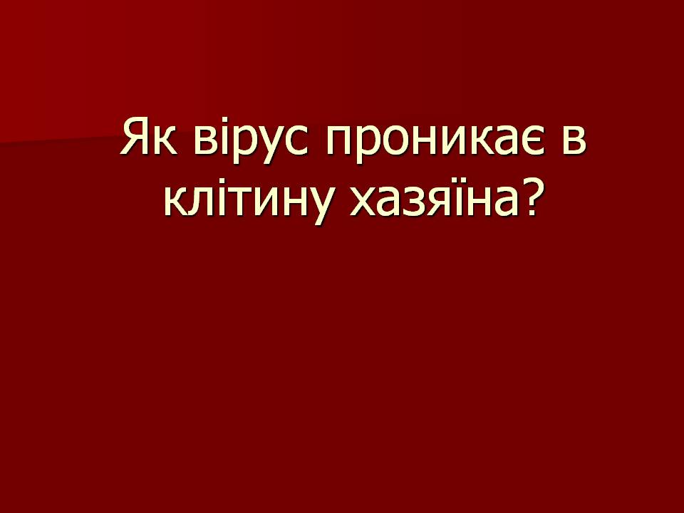 Презентація на тему «Царство Віруси» - Слайд #16