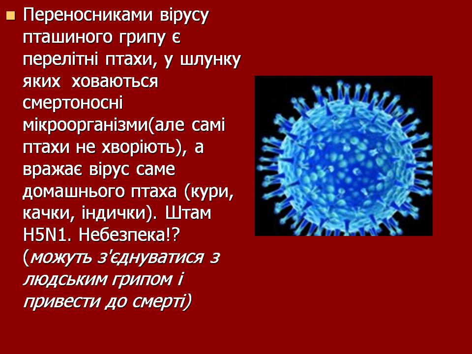 Презентація на тему «Царство Віруси» - Слайд #25