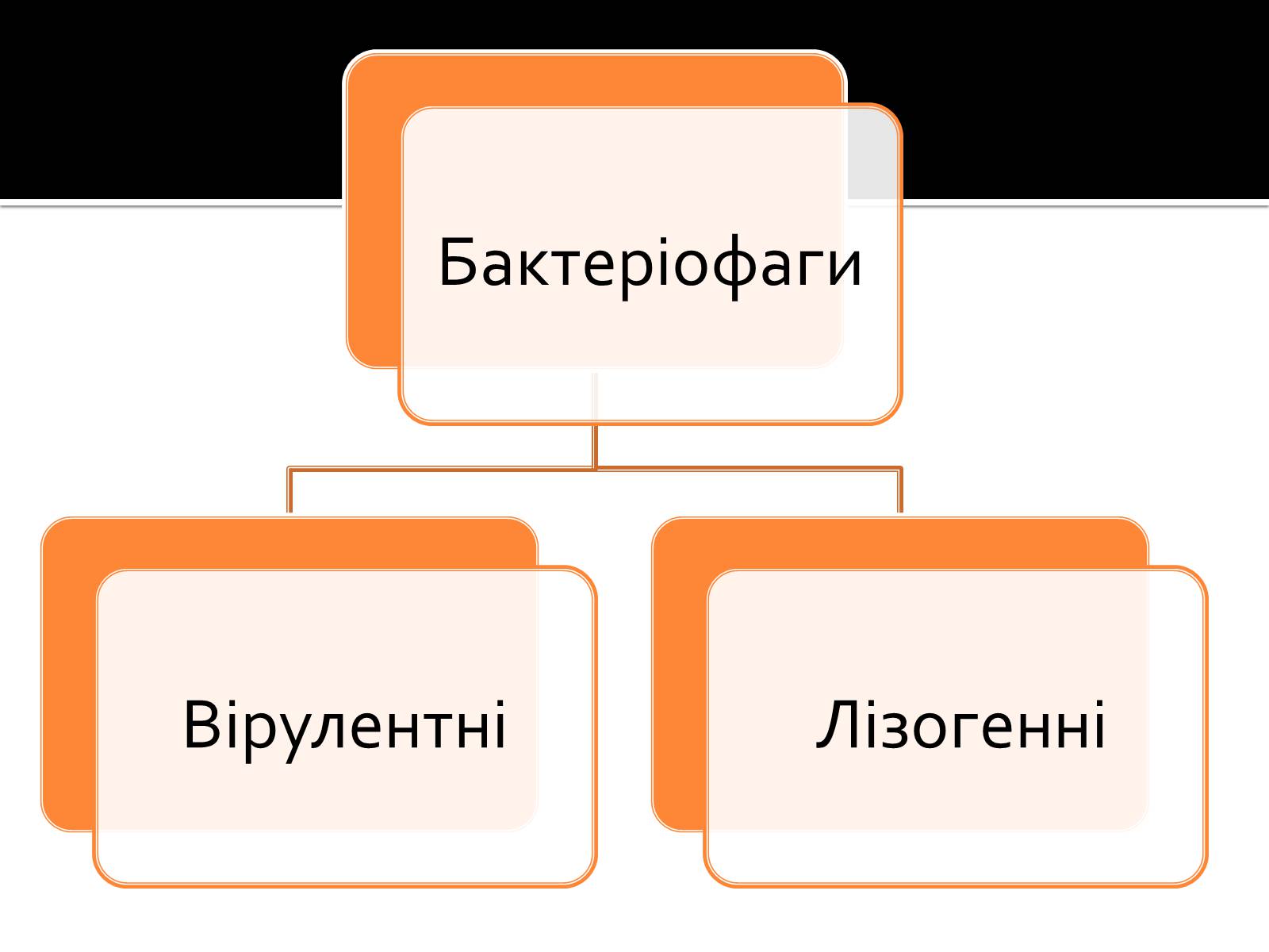 Презентація на тему «Бактеріофаги» (варіант 2) - Слайд #3