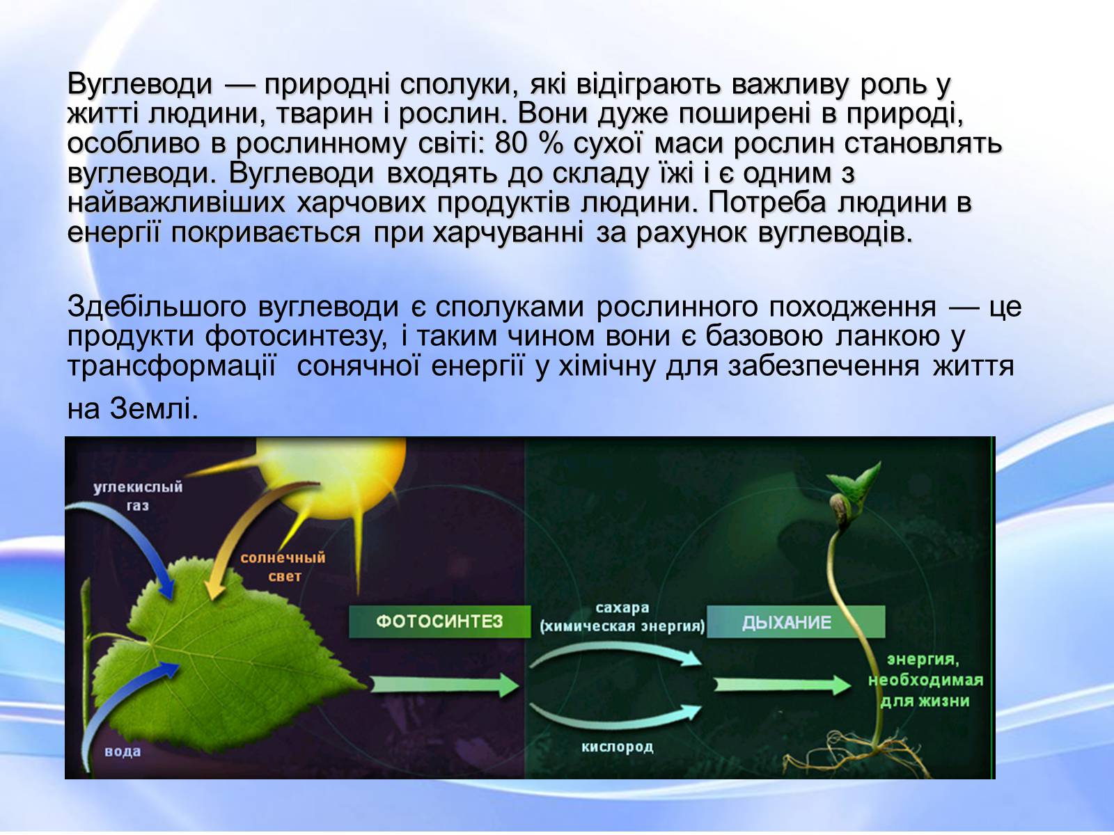 Презентація на тему «Вуглеводи як компоненти їжі, їх роль у житті людини» (варіант 18) - Слайд #2