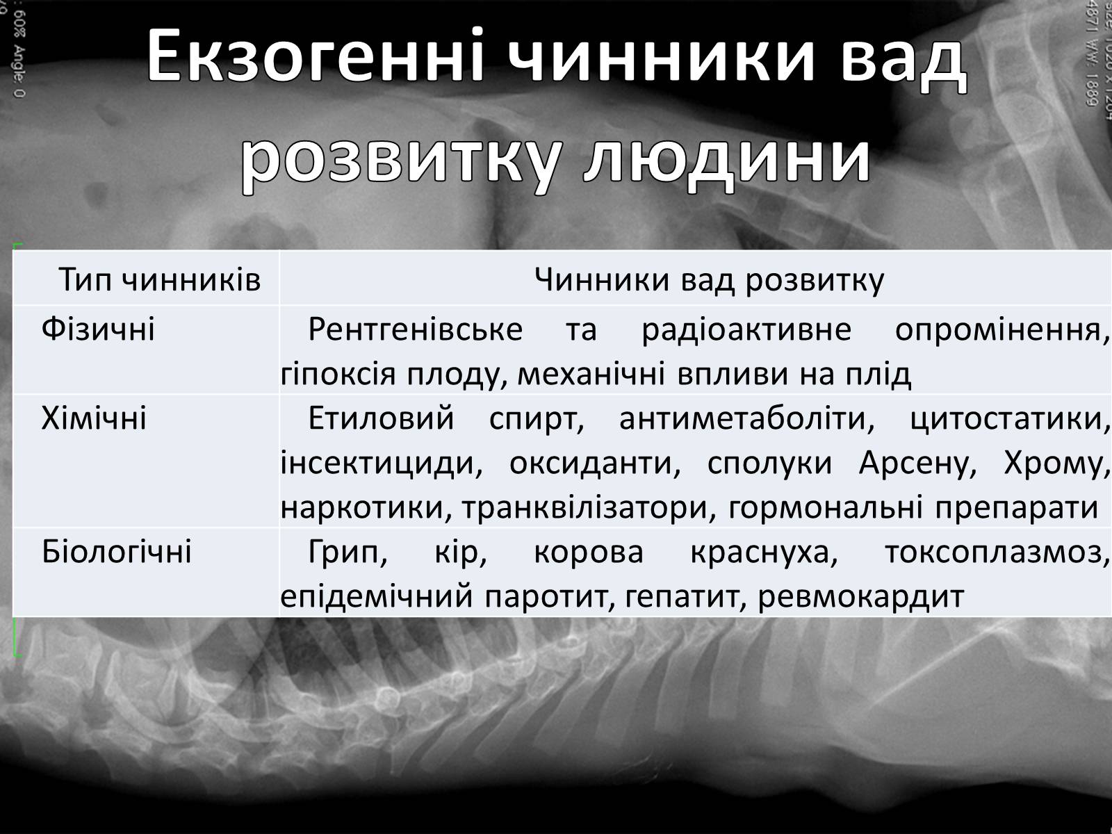 Презентація на тему «Діагностування вад розвитку людини» (варіант 2) - Слайд #6