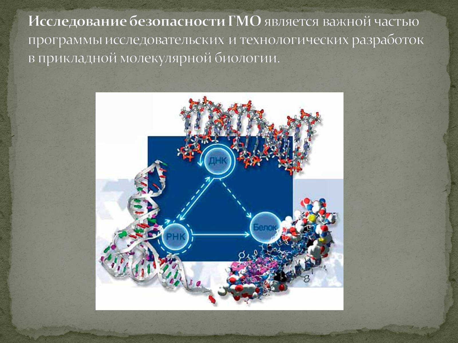 Презентація на тему «Генетически модифицированный организм» - Слайд #2