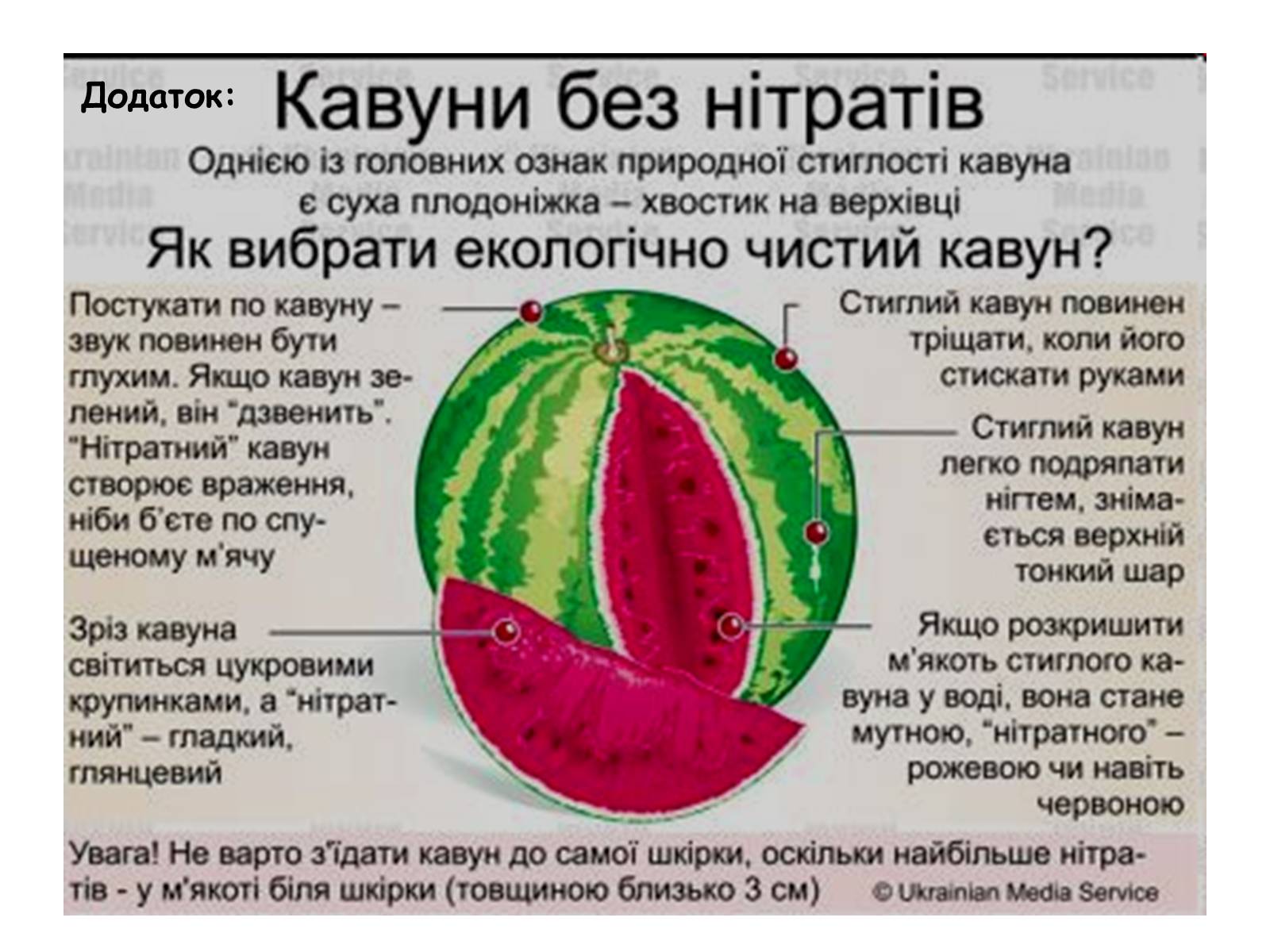 Презентація на тему «Отруєння нітратами» - Слайд #12