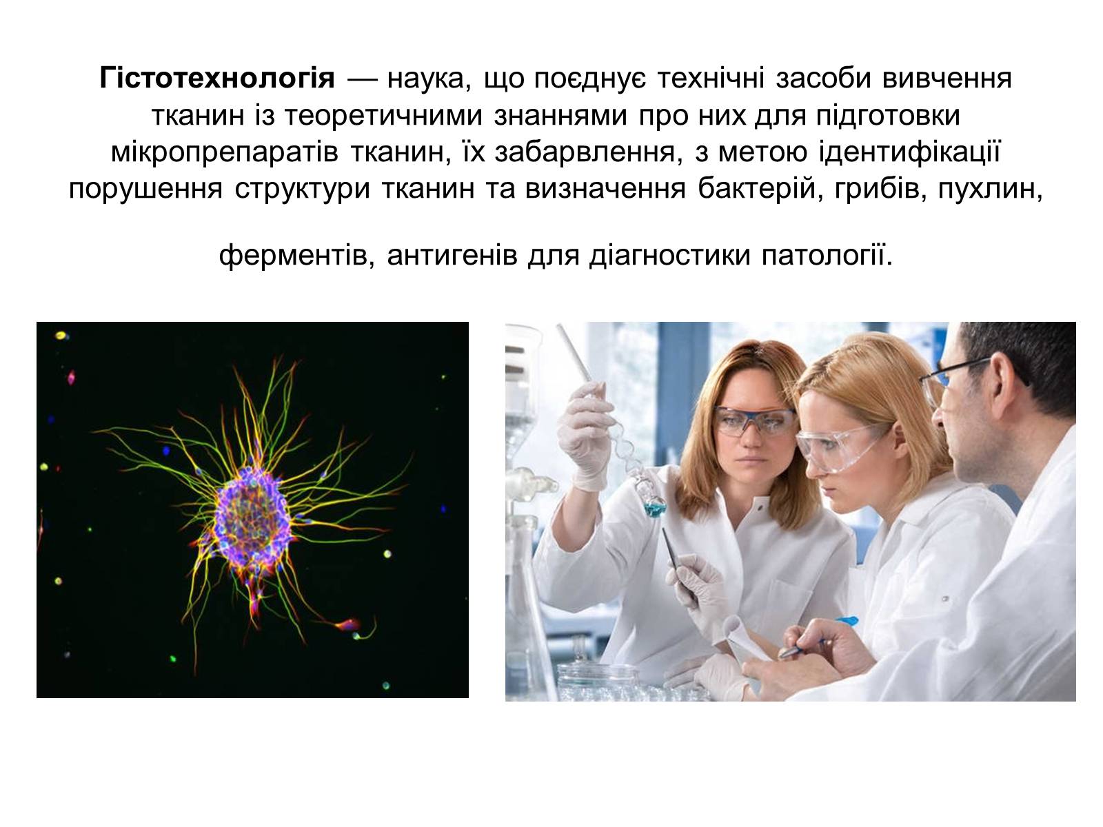 Презентація на тему «Гістотехнологія» - Слайд #2