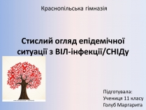 Презентація на тему «Стислий огляд епідемічної ситуації з ВІЛ-інфекції/СНІДу»