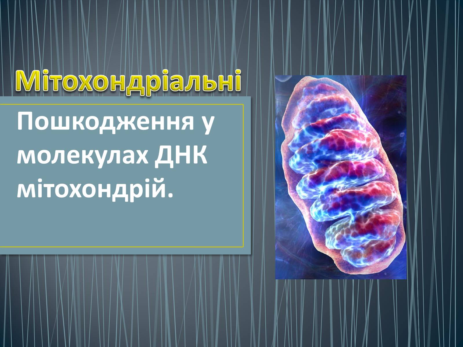 Презентація на тему «Типи генетичних хвороб людини» (варіант 2) - Слайд #21