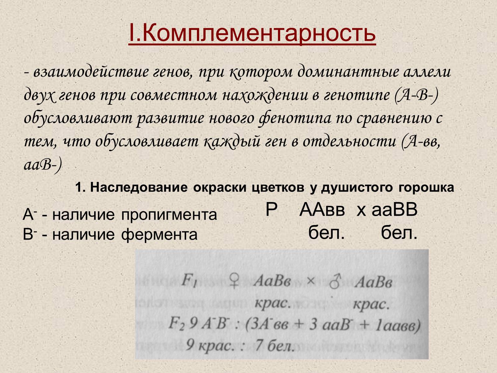 Презентація на тему «Взаимодействие неаллельных генов» - Слайд #2