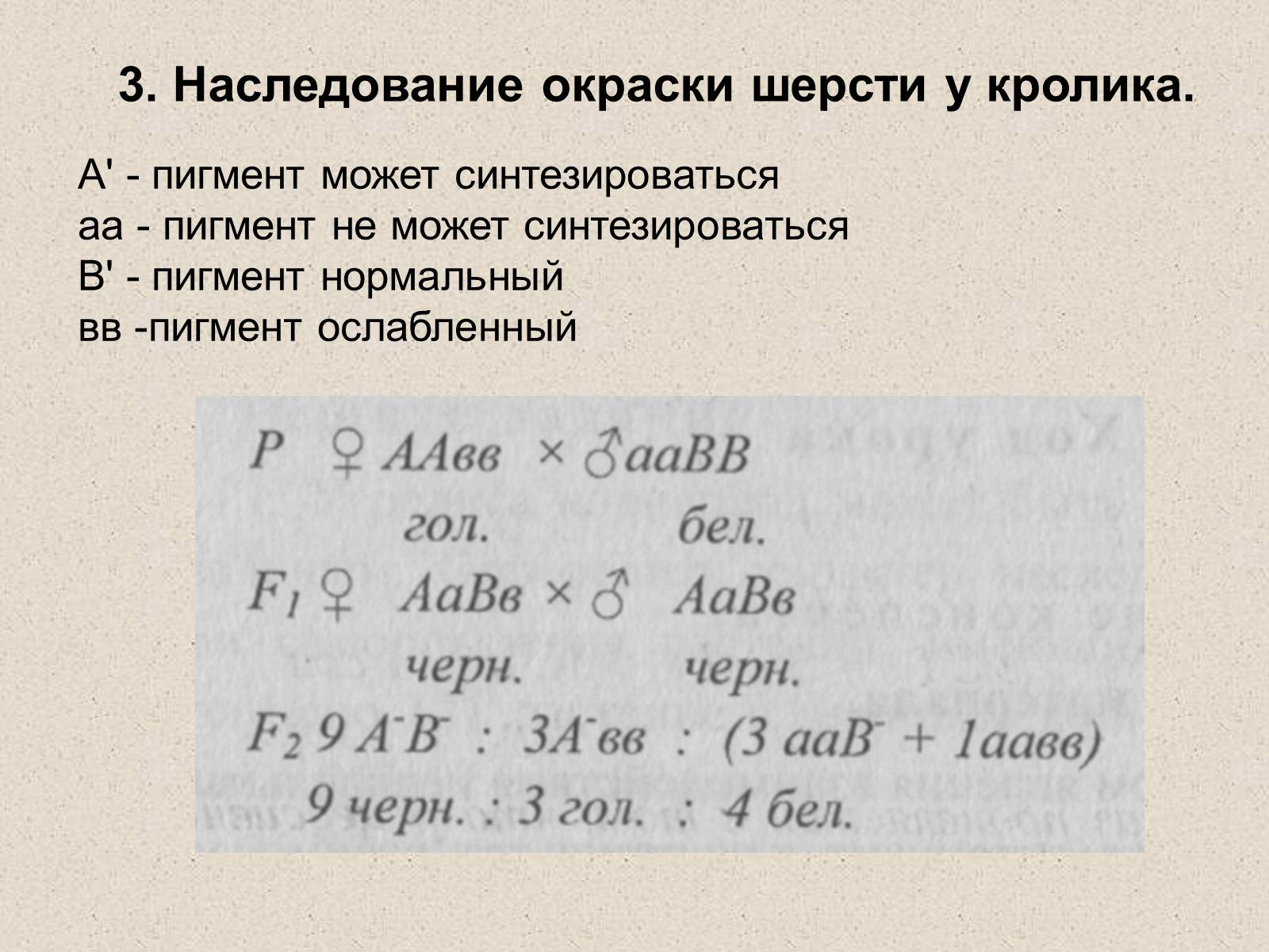 Презентація на тему «Взаимодействие неаллельных генов» - Слайд #4