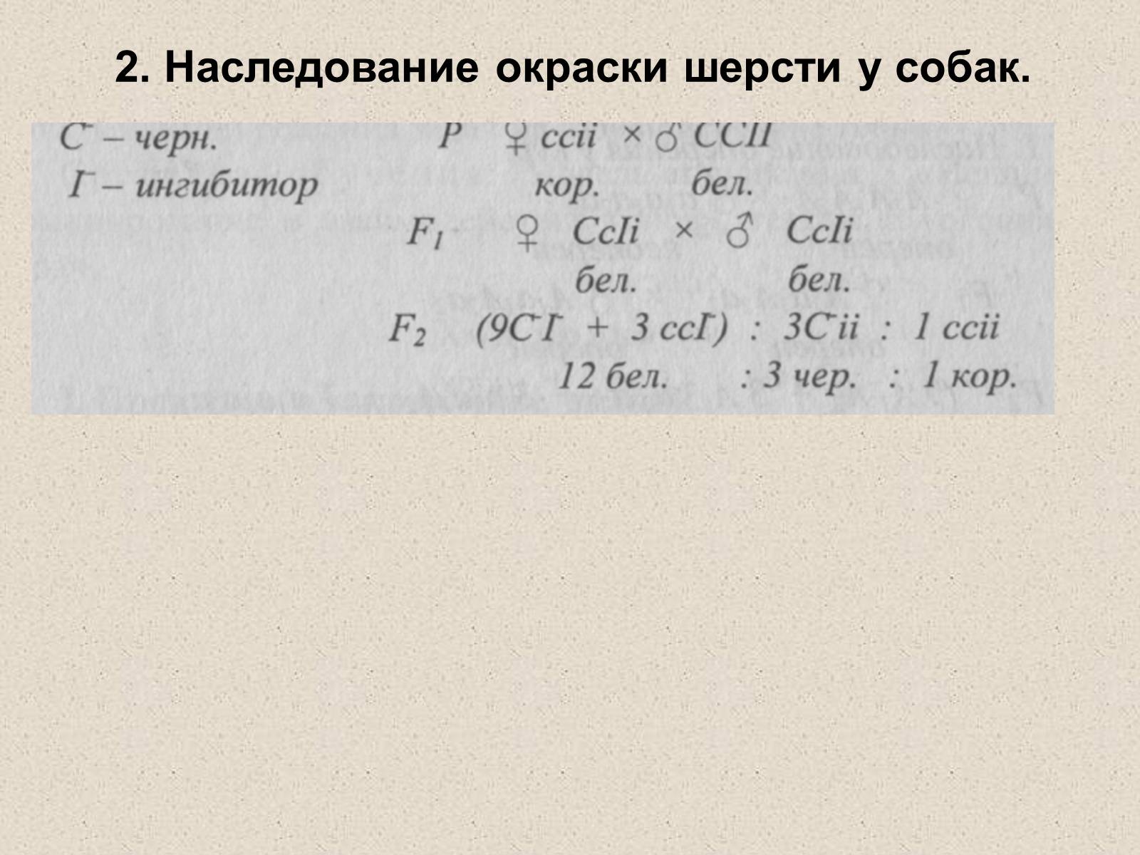 Презентація на тему «Взаимодействие неаллельных генов» - Слайд #9