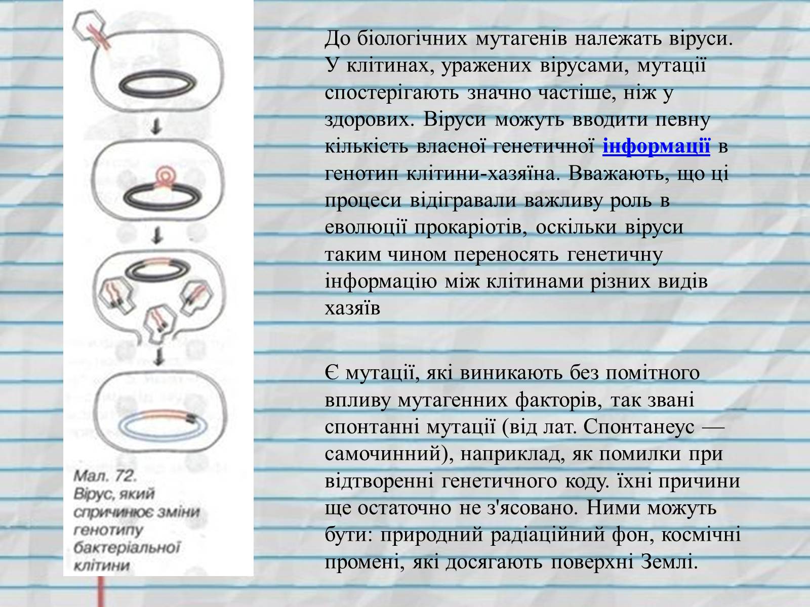 Презентація на тему «Причини мутацій» (варіант 1) - Слайд #5