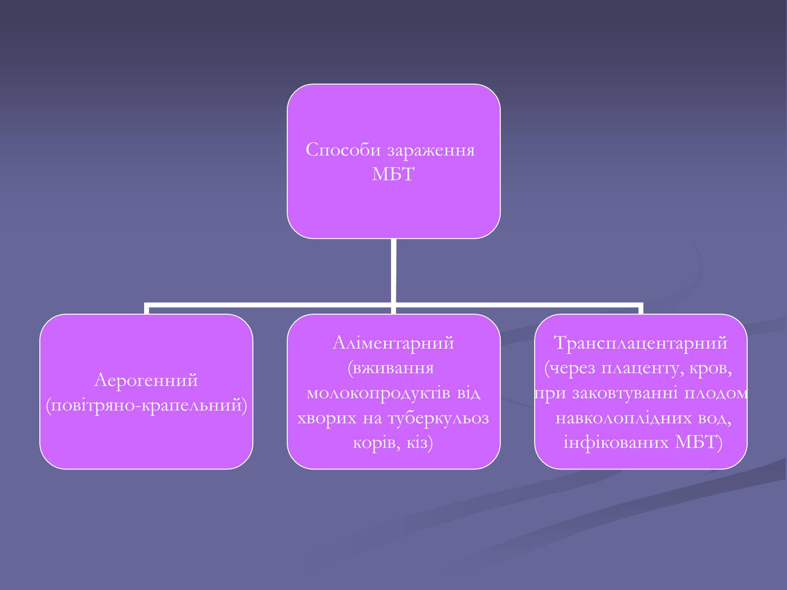 Презентація на тему «Мікобактерія туберкульозу» - Слайд #4