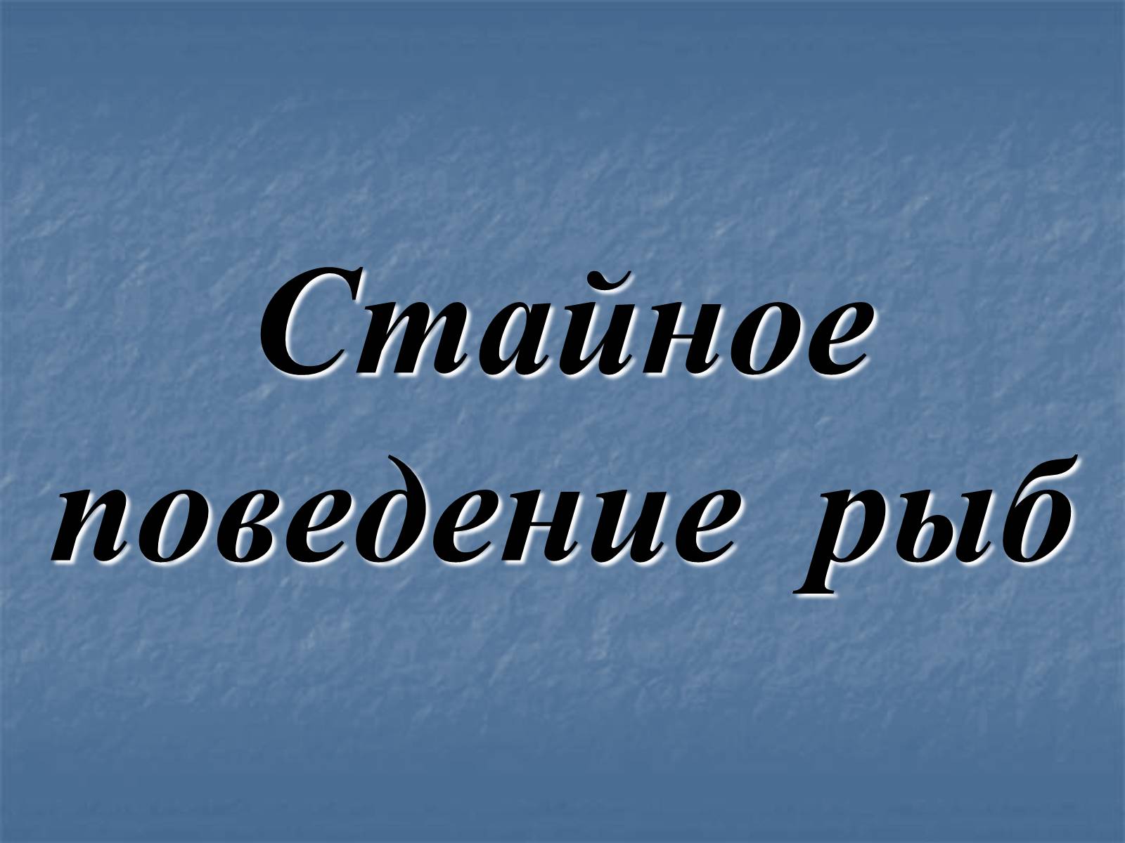 Презентація на тему «Стайное поведение рыб» - Слайд #1