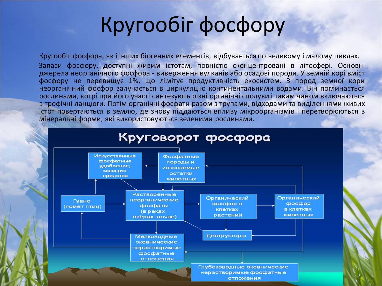 Презентація на тему «Колообіг речовин у природі» (варіант 5) - Слайд #7