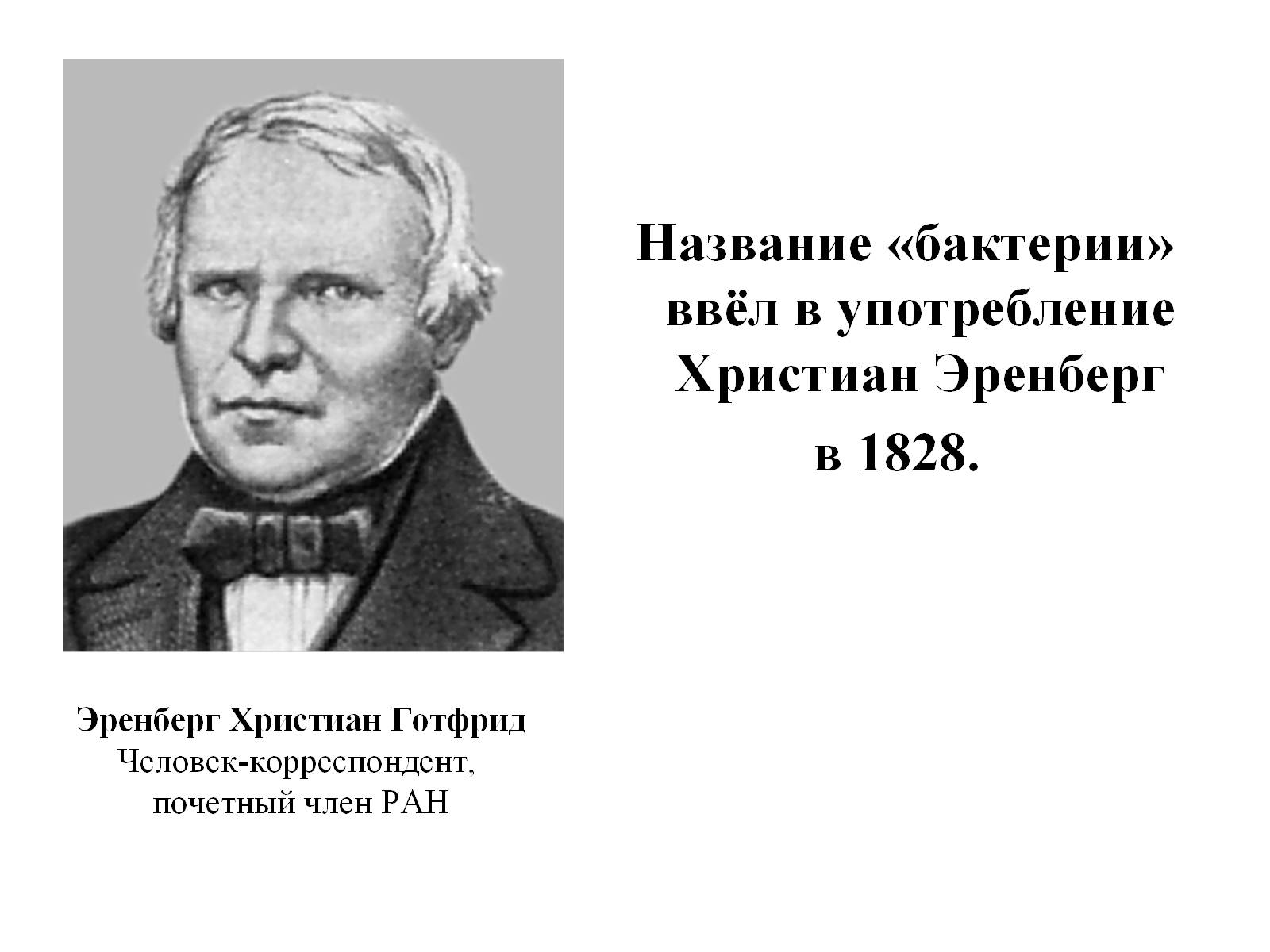 Презентація на тему «Бактерии» - Слайд #9