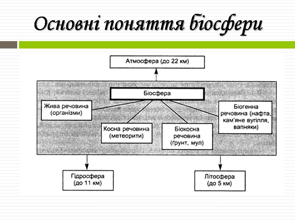 Презентація на тему «Біосфера» (варіант 11) - Слайд #12