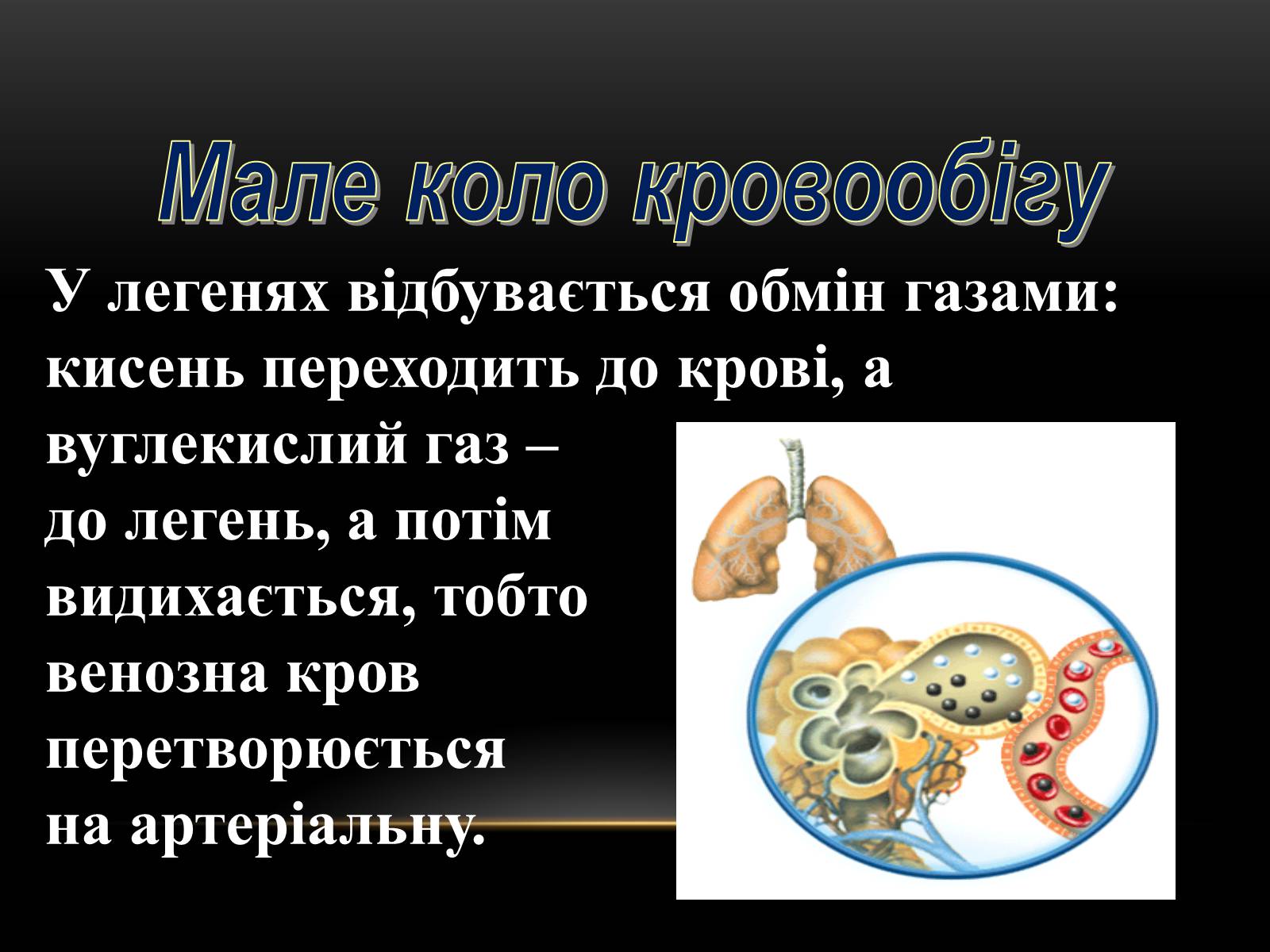 Презентація на тему «Кровообіг і лімфообіг людини» - Слайд #8