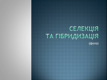 Презентація на тему «Селекція» (варіант 4)