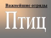 Презентація на тему «Важнейшие отряды птиц»