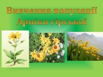 Презентація на тему «Вивчення популяції Арніки гірської»