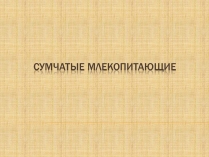 Презентація на тему «Сумчатые Млекопитающие»