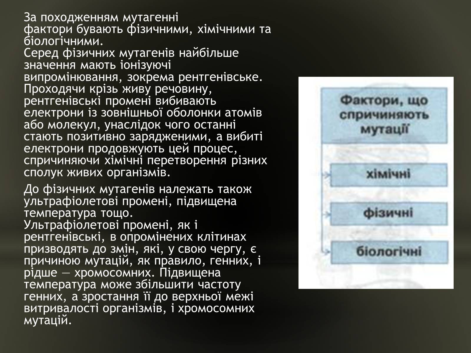 Презентація на тему «Причини мутацій» (варіант 2) - Слайд #3