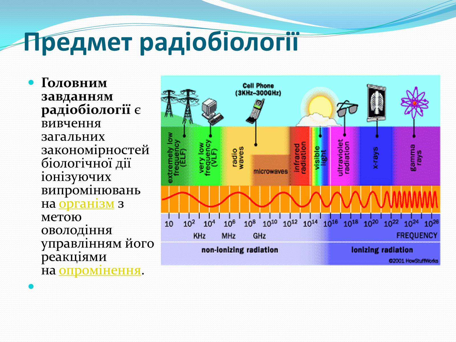 Презентація на тему «Радіобіологія» - Слайд #3