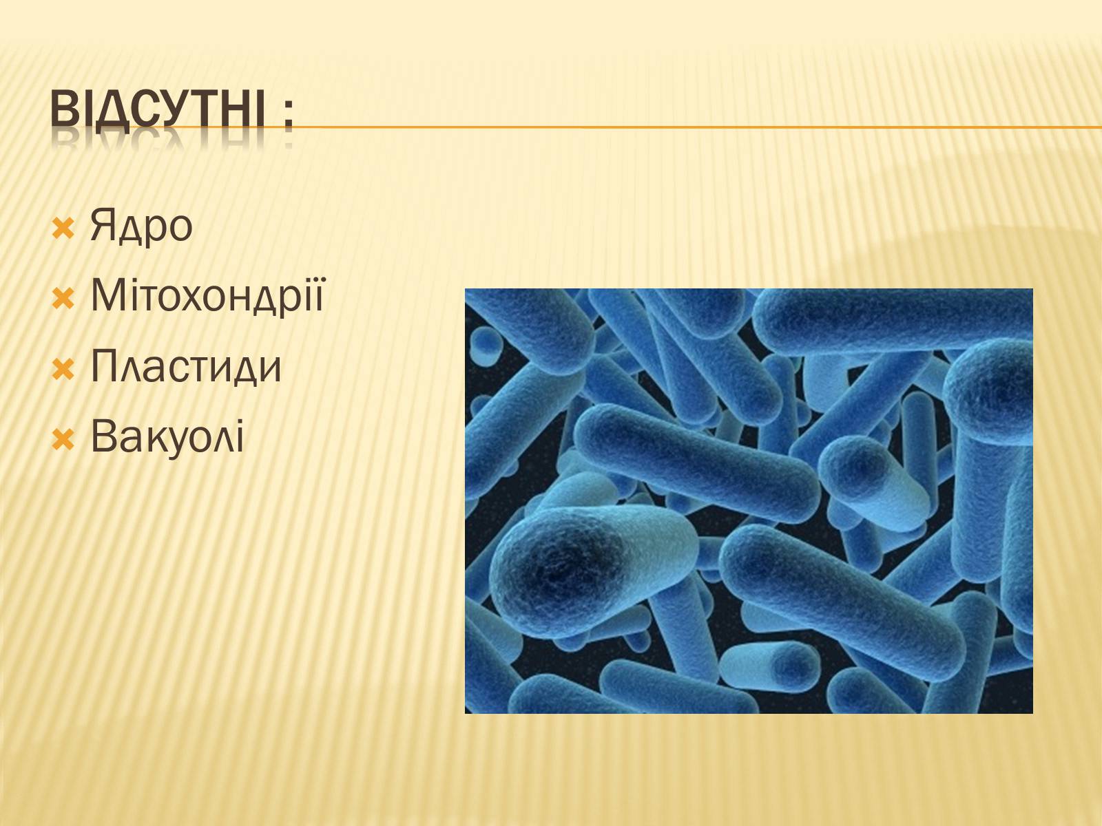 Презентація на тему «Будова прокаріотів» (варіант 1) - Слайд #6