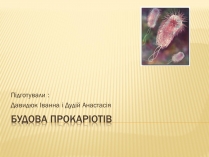 Презентація на тему «Будова прокаріотів» (варіант 1)