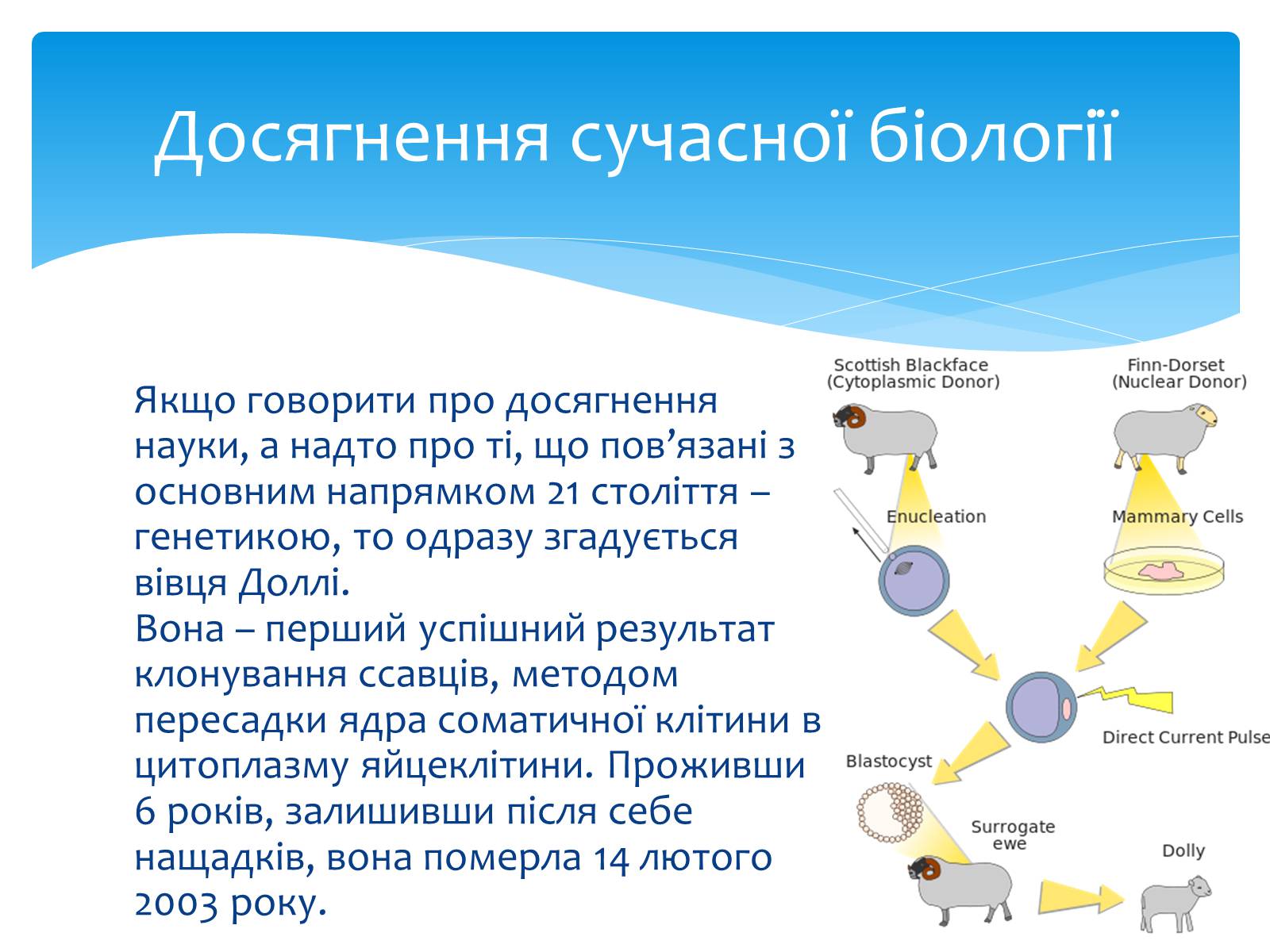 Презентація на тему «Біологія в ХХІ столітті. Генетика. Штучний геном» - Слайд #5