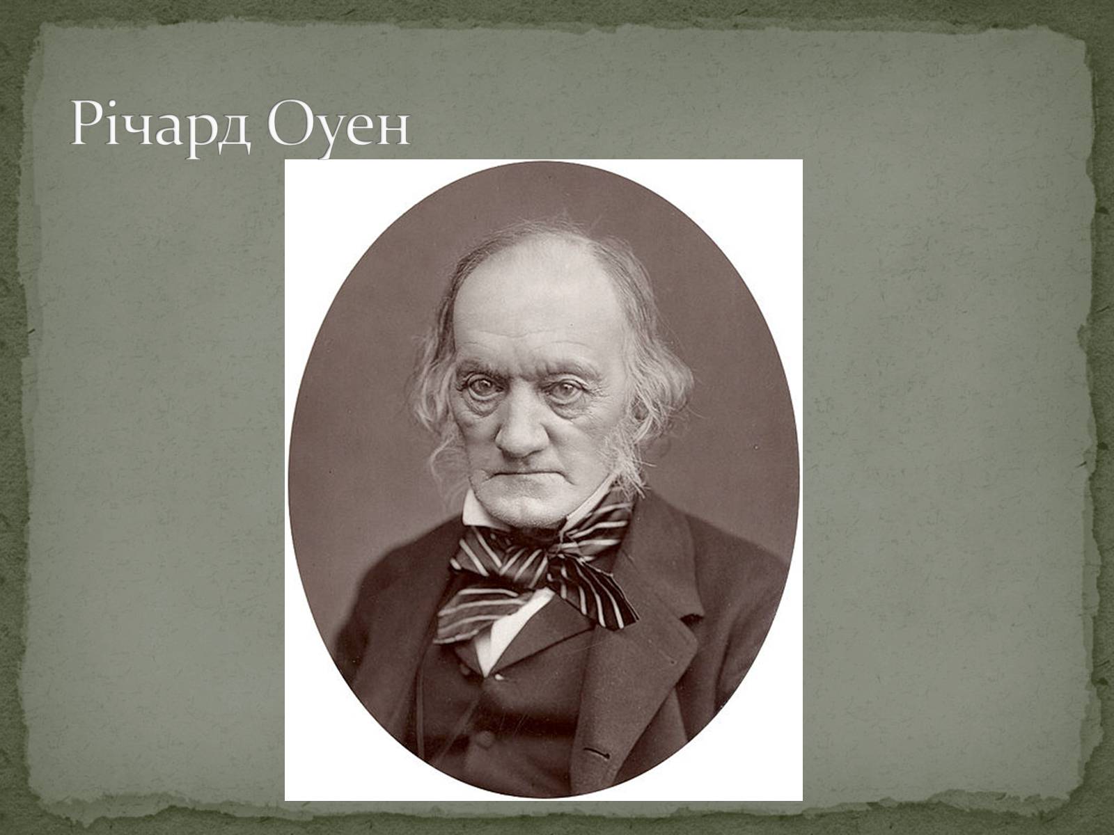 Презентація на тему «Історичний розвиток і різноманітність органічного світу» - Слайд #4