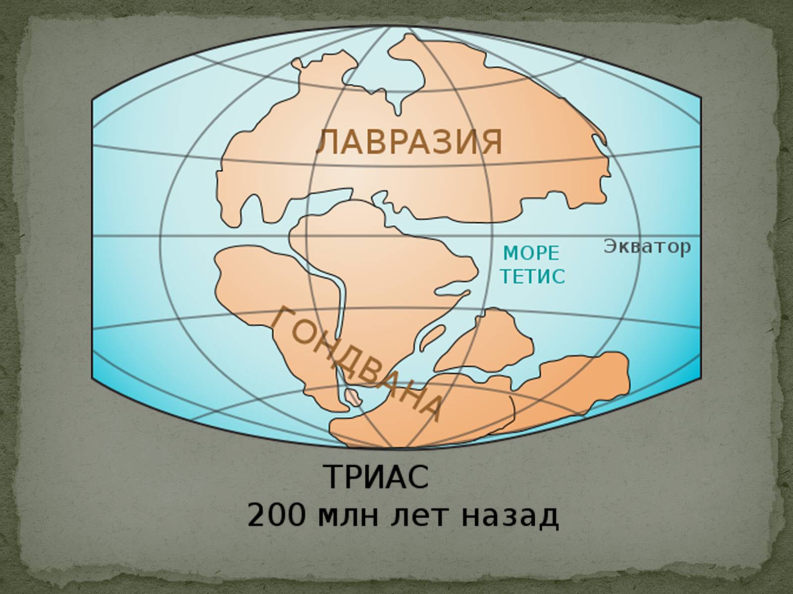 Презентація на тему «Історичний розвиток і різноманітність органічного світу» - Слайд #6