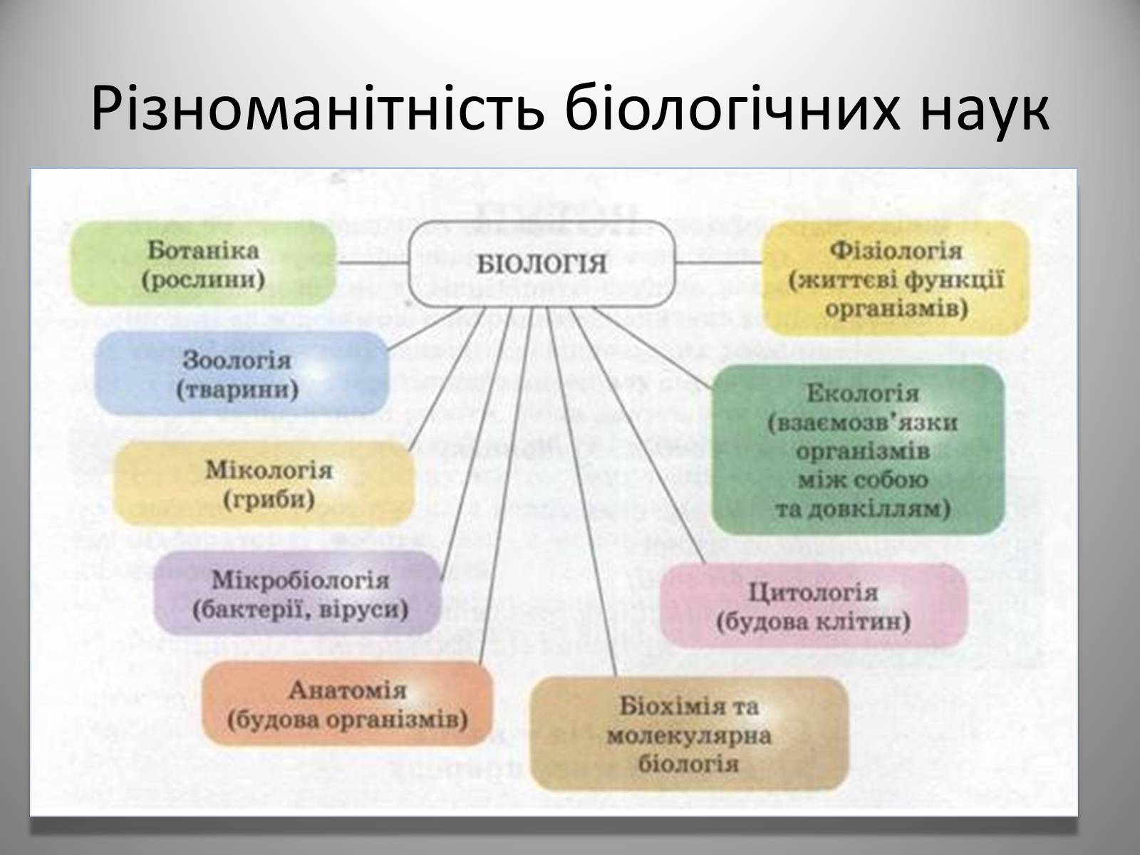 Презентація на тему «Біологія» (варіант 2) - Слайд #4