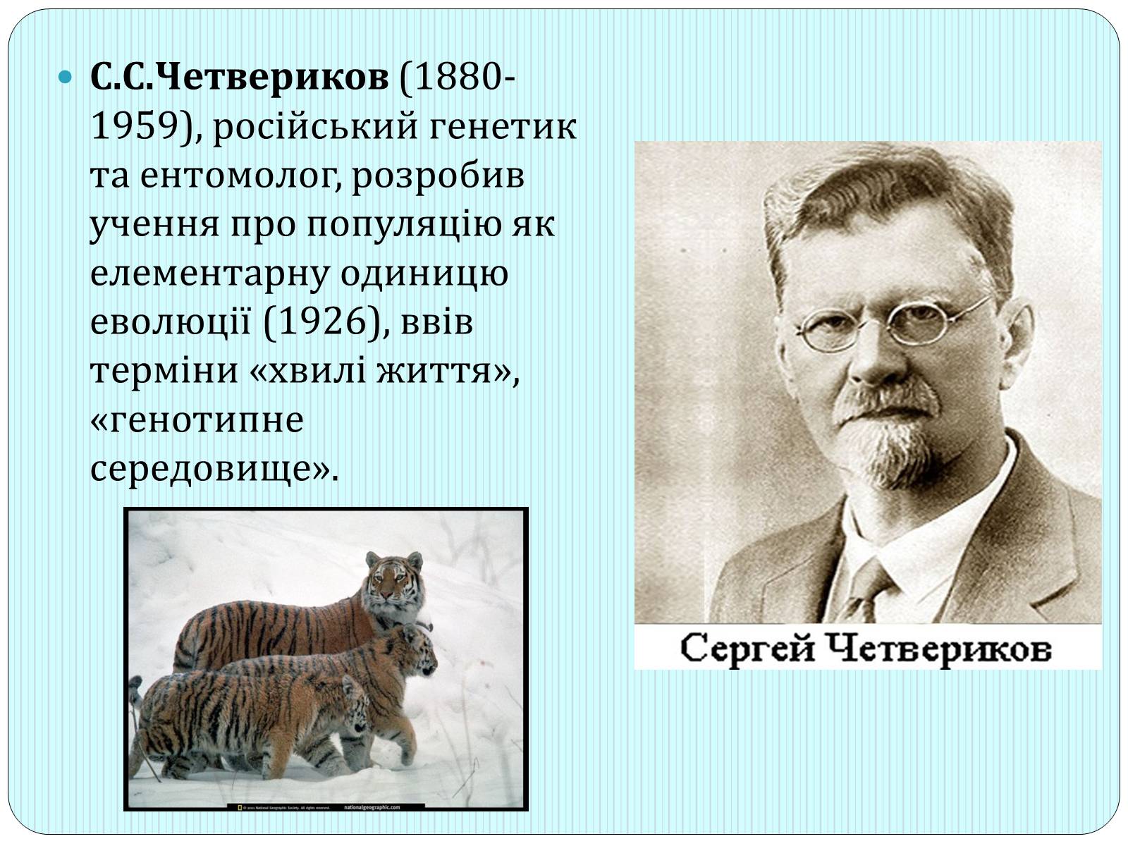 Презентація на тему «Синтетична гіпотеза еволюції» (варіант 2) - Слайд #5